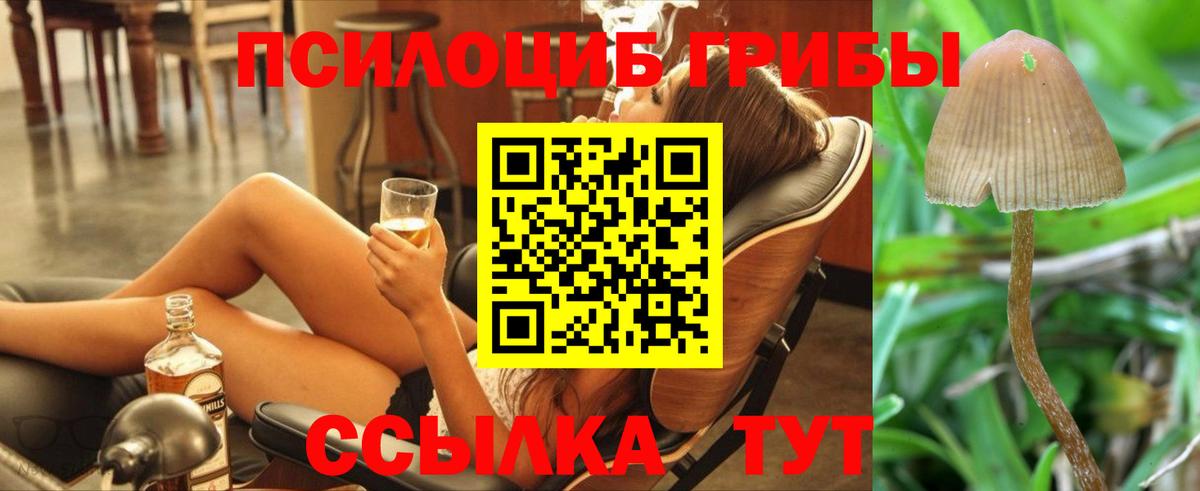 Саранск  купить закладку  Вход с VPN  Галлюциногенные грибы прущие грибы 